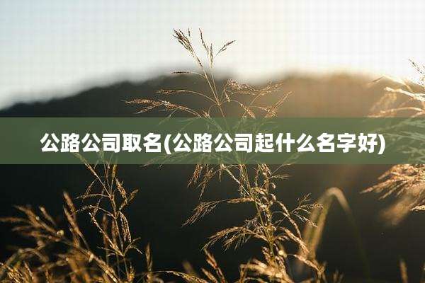 公路公司取名(公路公司起什么名字好)