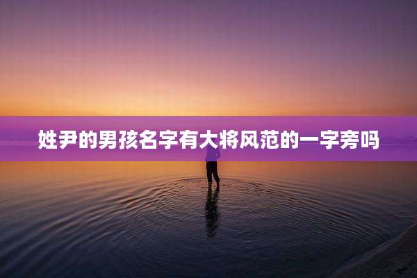 姓尹的男孩名字有大将风范的一字旁吗