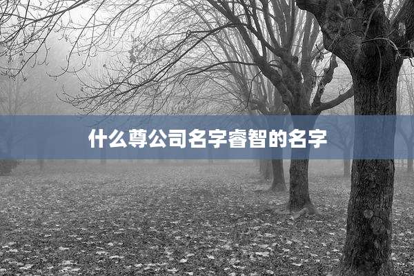 什么尊公司名字睿智的名字