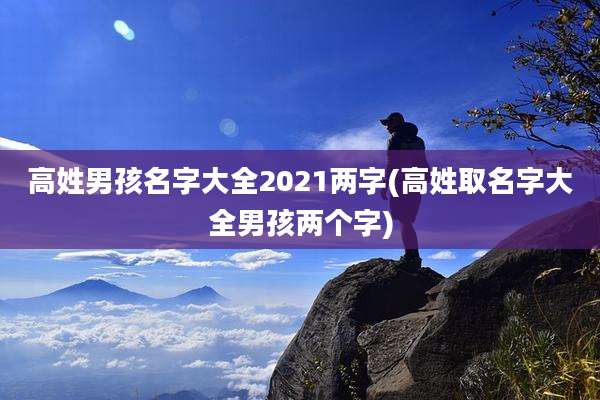 高姓男孩名字大全2021两字(高姓取名字大全男孩两个字)