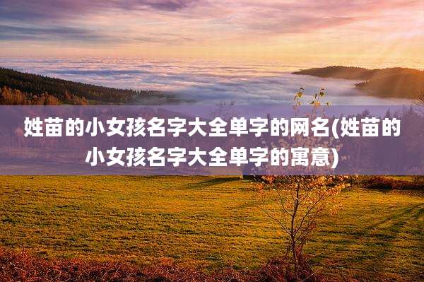 姓苗的小女孩名字大全单字的网名(姓苗的小女孩名字大全单字的寓意)