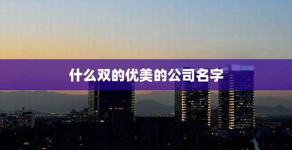 什么双的优美的公司名字