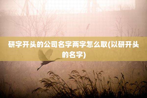 研字开头的公司名字两字怎么取(以研开头的名字)