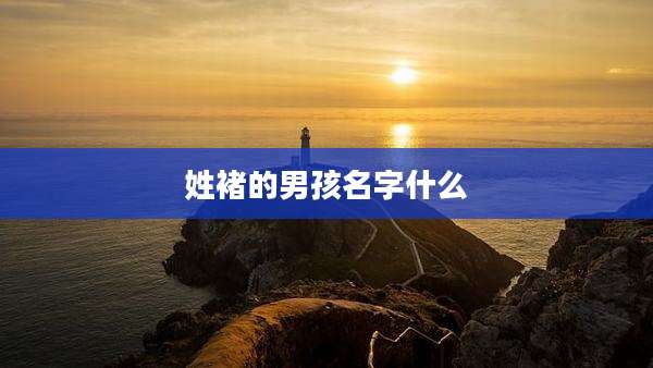 姓褚的男孩名字什么