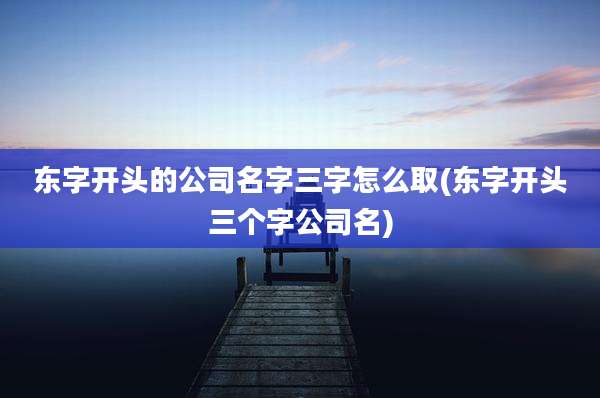 东字开头的公司名字三字怎么取(东字开头三个字公司名)