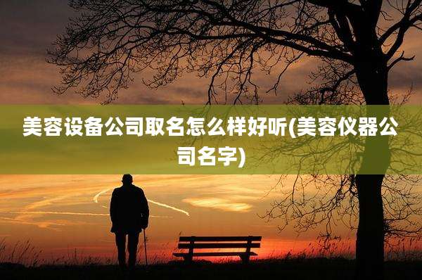美容设备公司取名怎么样好听(美容仪器公司名字)