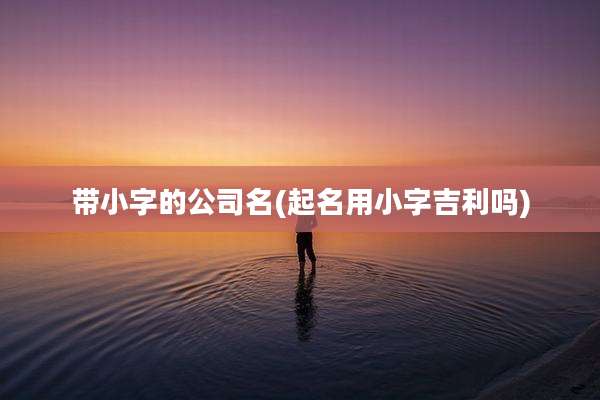 带小字的公司名(起名用小字吉利吗)