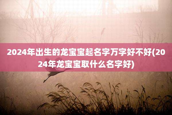 2024年出生的龙宝宝起名字万字好不好(2024年龙宝宝取什么名字好)