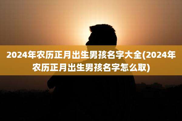 2024年农历正月出生男孩名字大全(2024年农历正月出生男孩名字怎么取)