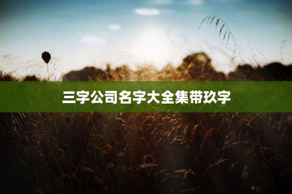 三字公司名字大全集带玖字