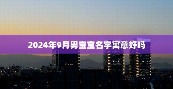 2024年9月男宝宝名字寓意好吗