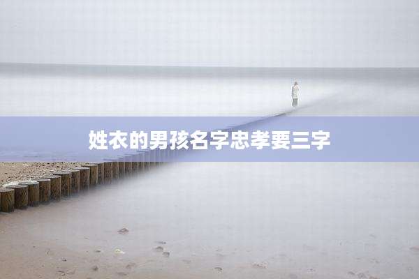 姓衣的男孩名字忠孝要三字