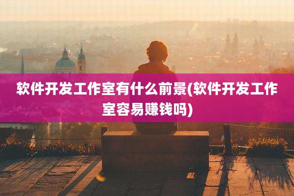 软件开发工作室有什么前景(软件开发工作室容易赚钱吗)