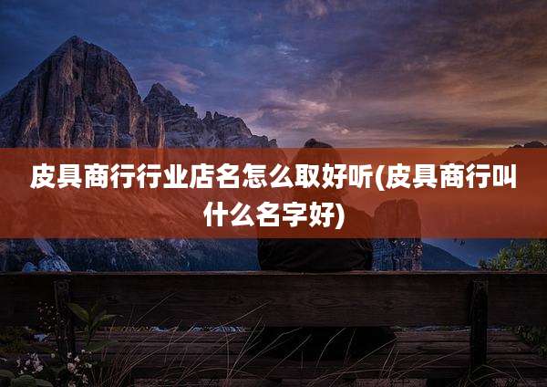 皮具商行行业店名怎么取好听(皮具商行叫什么名字好)