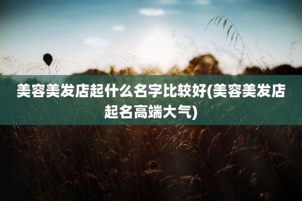美容美发店起什么名字比较好(美容美发店起名高端大气)