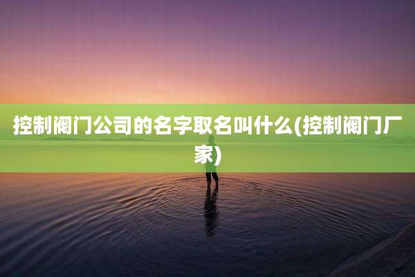 控制阀门公司的名字取名叫什么(控制阀门厂家)