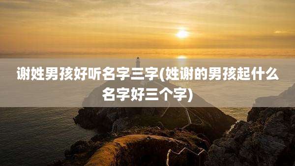 谢姓男孩好听名字三字(姓谢的男孩起什么名字好三个字)