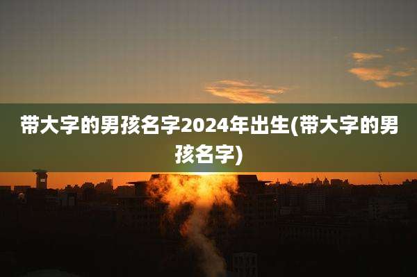 带大字的男孩名字2024年出生(带大字的男孩名字)