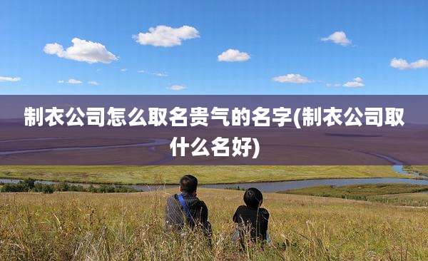 制衣公司怎么取名贵气的名字(制衣公司取什么名好)