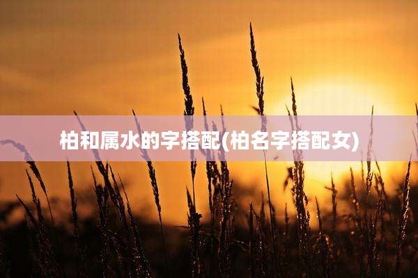 柏和属水的字搭配(柏名字搭配女)