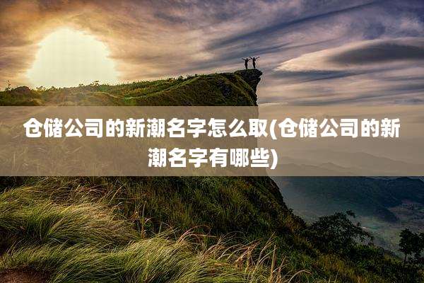 仓储公司的新潮名字怎么取(仓储公司的新潮名字有哪些)