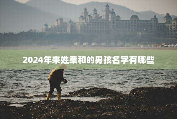 2024年来姓柔和的男孩名字有哪些