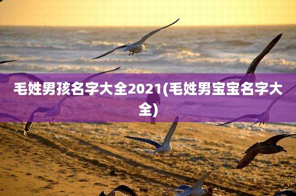 毛姓男孩名字大全2021(毛姓男宝宝名字大全)