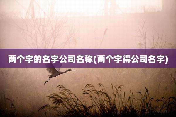 两个字的名字公司名称(两个字得公司名字)