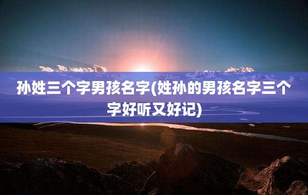 孙姓三个字男孩名字(姓孙的男孩名字三个字好听又好记)