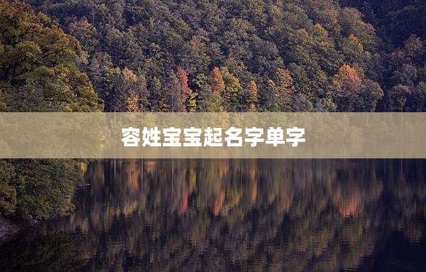 容姓宝宝起名字单字