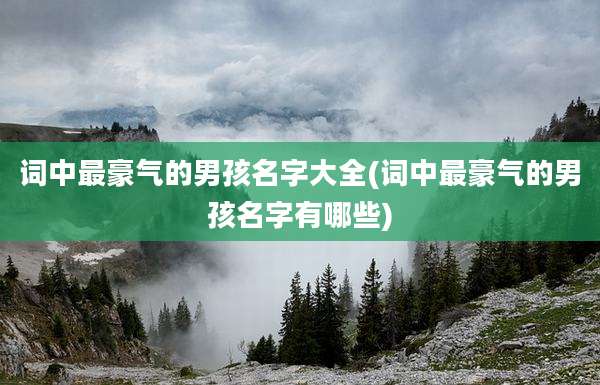 词中最豪气的男孩名字大全(词中最豪气的男孩名字有哪些)