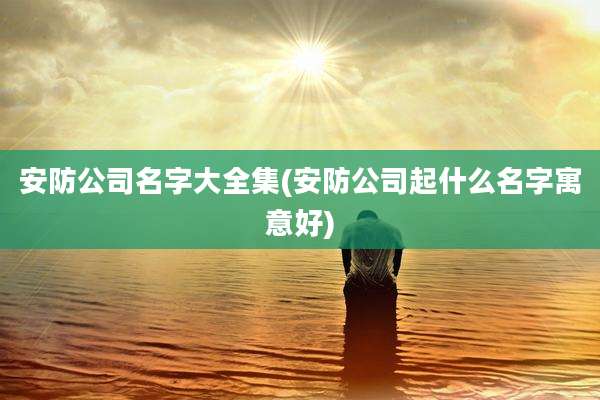 安防公司名字大全集(安防公司起什么名字寓意好)