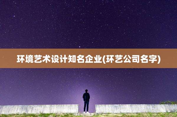 环境艺术设计知名企业(环艺公司名字)