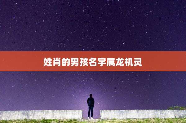 姓肖的男孩名字属龙机灵