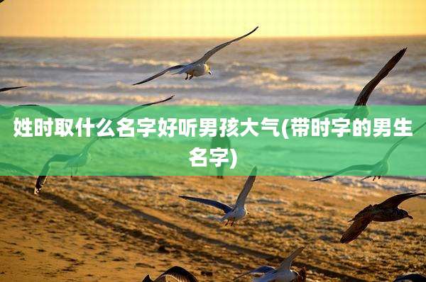 姓时取什么名字好听男孩大气(带时字的男生名字)