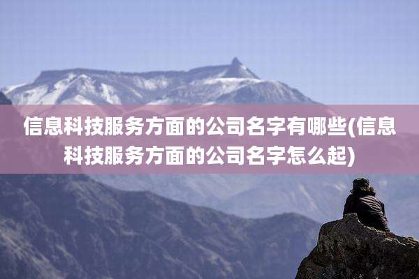 信息科技服务方面的公司名字有哪些(信息科技服务方面的公司名字怎么起)