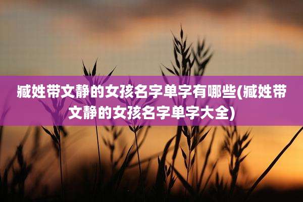 臧姓带文静的女孩名字单字有哪些(臧姓带文静的女孩名字单字大全)