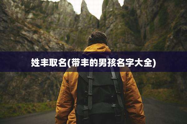 姓丰取名(带丰的男孩名字大全)