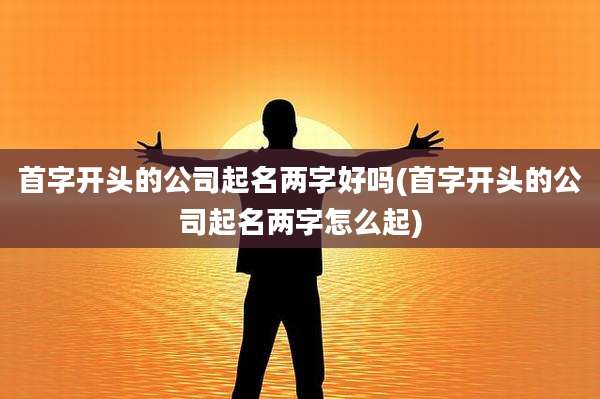 首字开头的公司起名两字好吗(首字开头的公司起名两字怎么起)