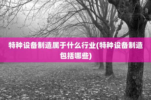 特种设备制造属于什么行业(特种设备制造包括哪些)
