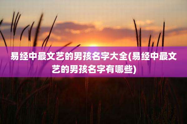 易经中最文艺的男孩名字大全(易经中最文艺的男孩名字有哪些)