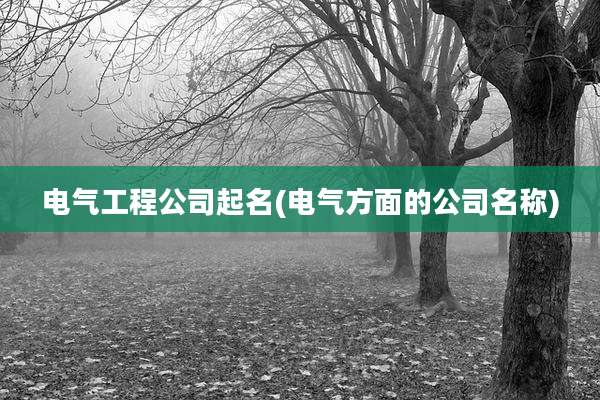 电气工程公司起名(电气方面的公司名称)