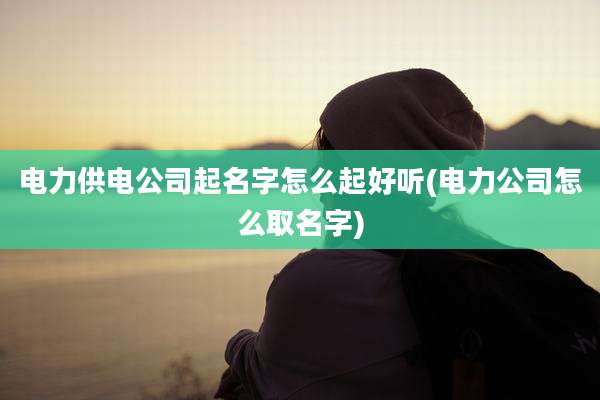 电力供电公司起名字怎么起好听(电力公司怎么取名字)