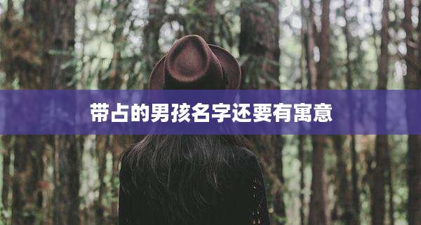 带占的男孩名字还要有寓意