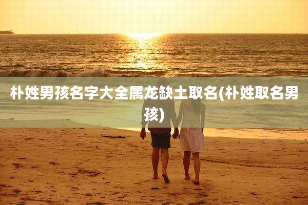 朴姓男孩名字大全属龙缺土取名(朴姓取名男孩)