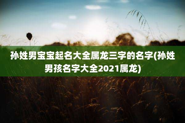 孙姓男宝宝起名大全属龙三字的名字(孙姓男孩名字大全2021属龙)