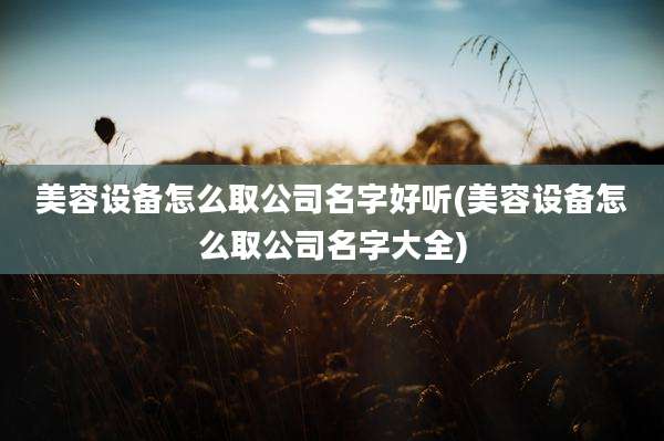 美容设备怎么取公司名字好听(美容设备怎么取公司名字大全)