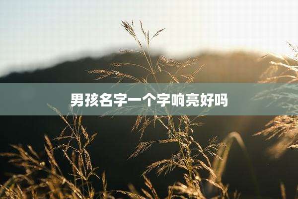 男孩名字一个字响亮好吗