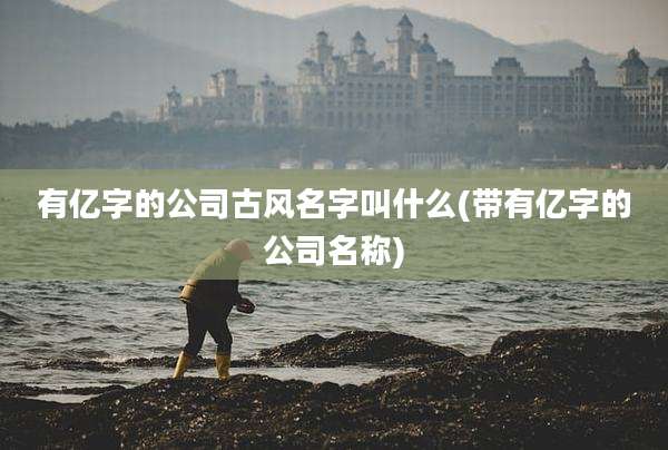 有亿字的公司古风名字叫什么(带有亿字的公司名称)