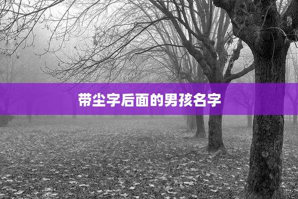 带尘字后面的男孩名字